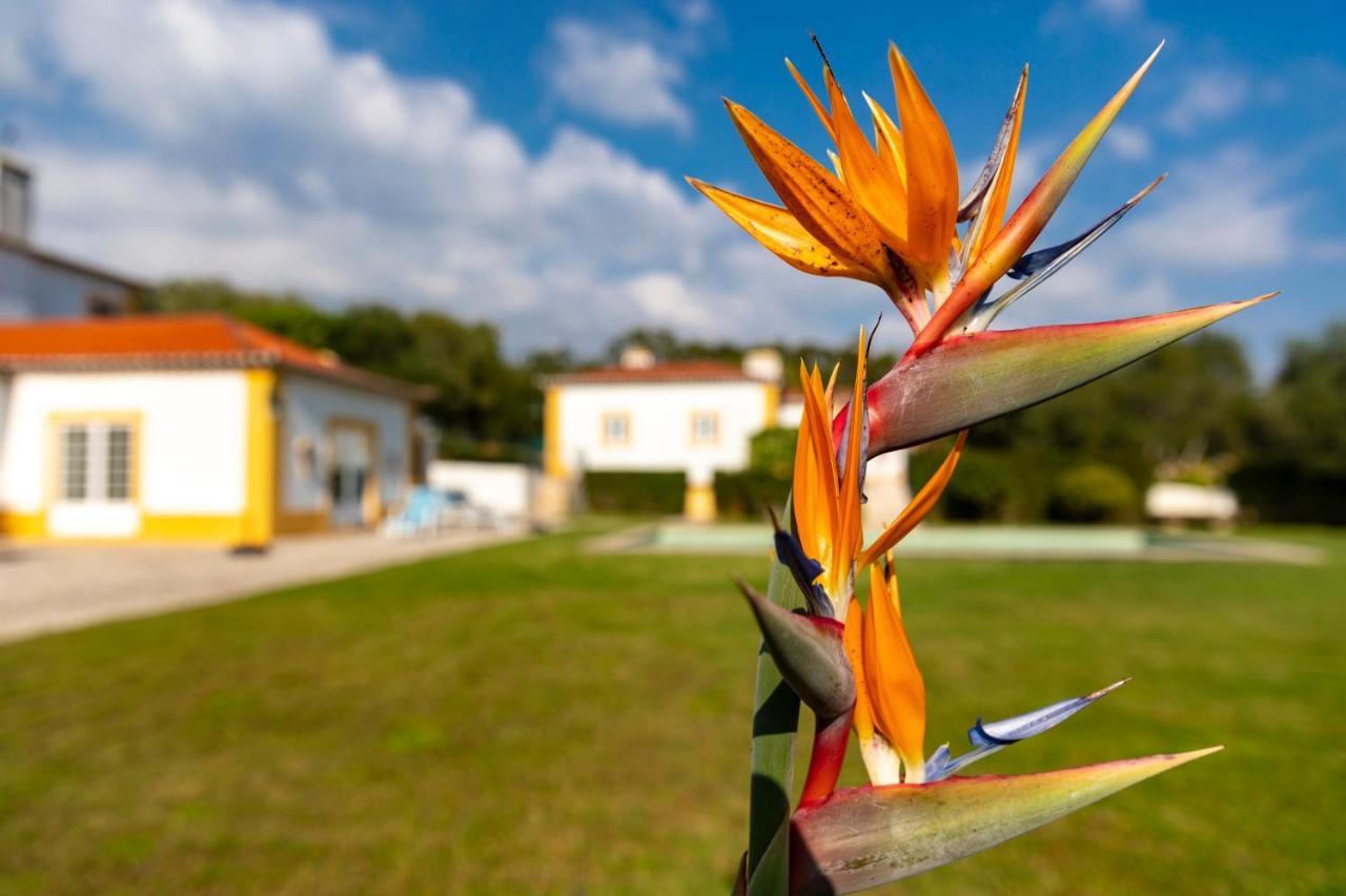 Quinta Do Pe Descalco Guesthouse Синтра Екстериор снимка